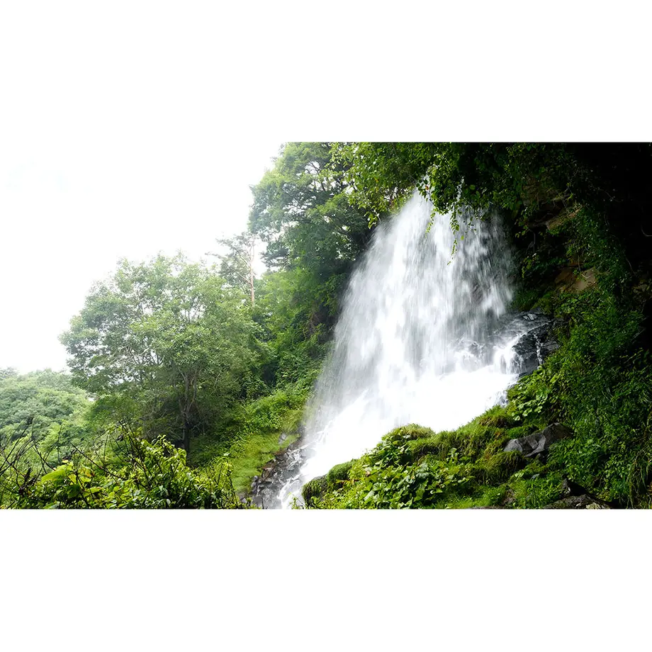 5f55df89f9c5902035e3c0a7