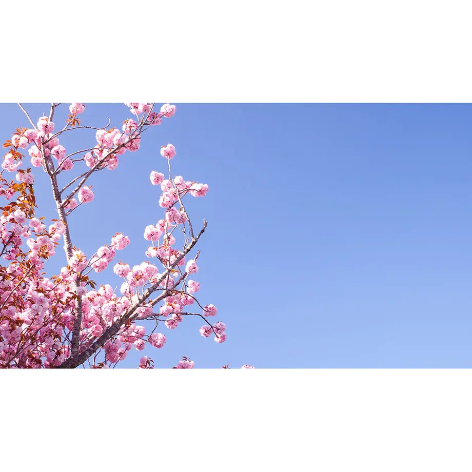 593f1f49428f2d2a1b0045e4