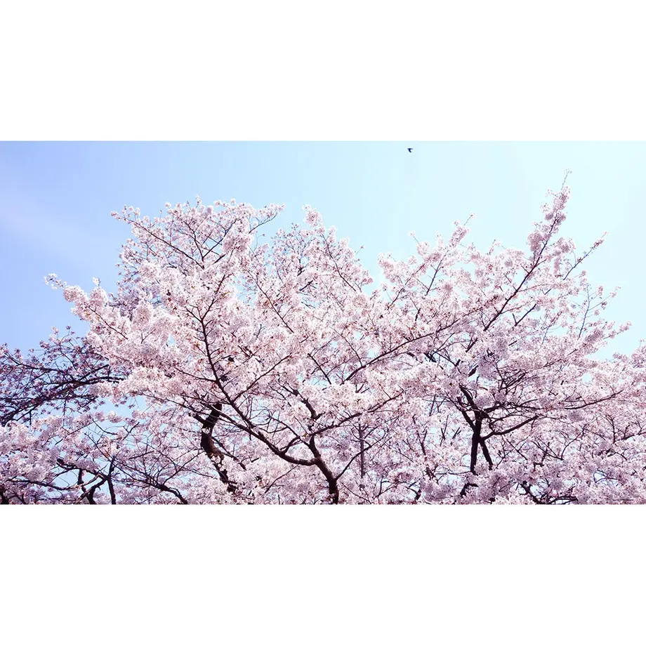 593f1f49428f2d2a1b0045e4