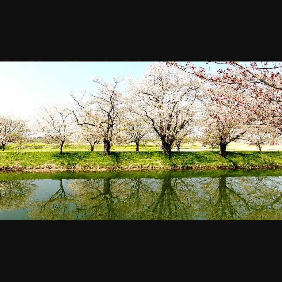 5ee97497d26fa529017af84c