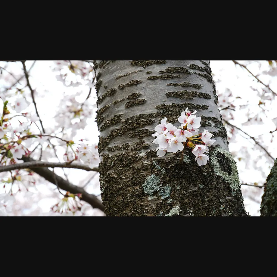 5ee97497d26fa529017af84c