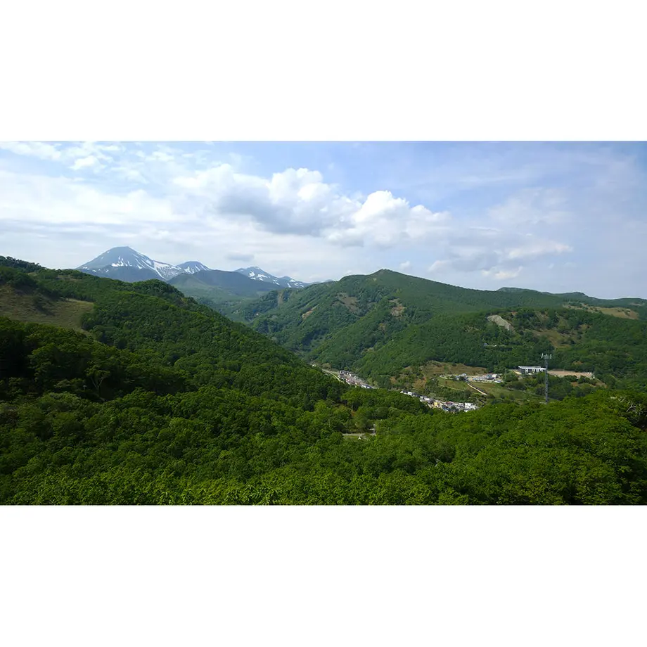 5e1d687ada89642a2cde3d49