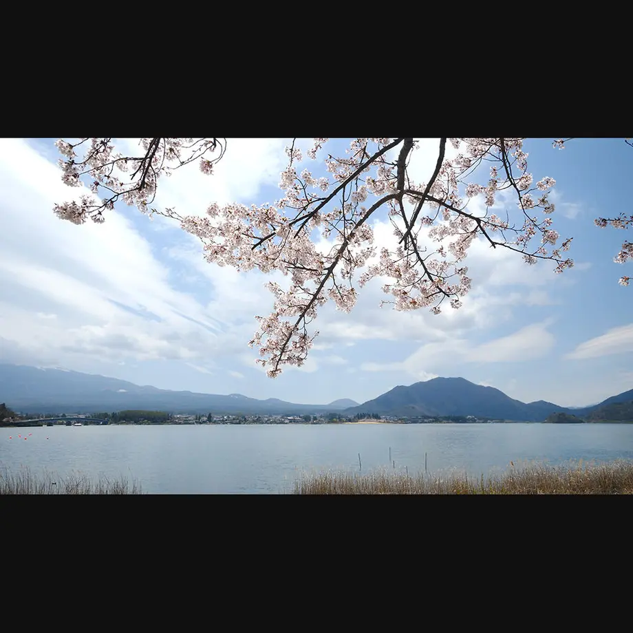 5ee97497d26fa529017af84c