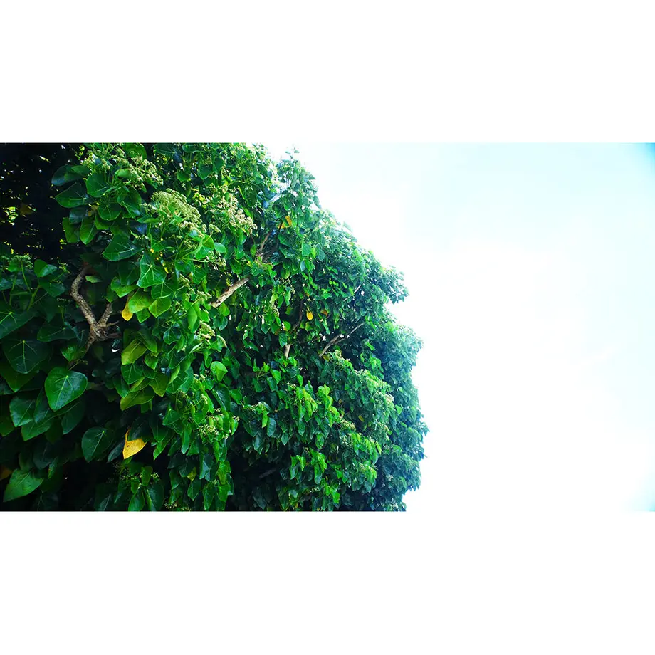 5a2cbfd5428f2d5986007625