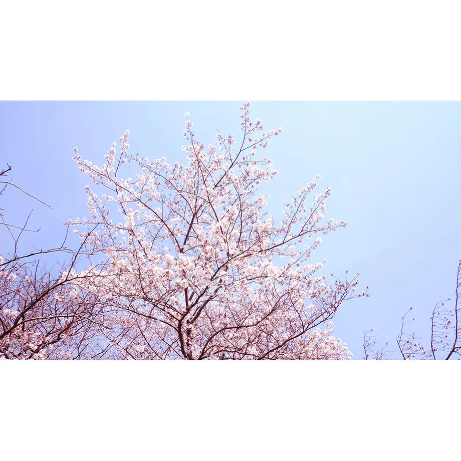 593f1f49428f2d2a1b0045e4