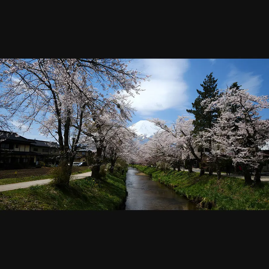 5ee973bd0d5e381c2f5199a4