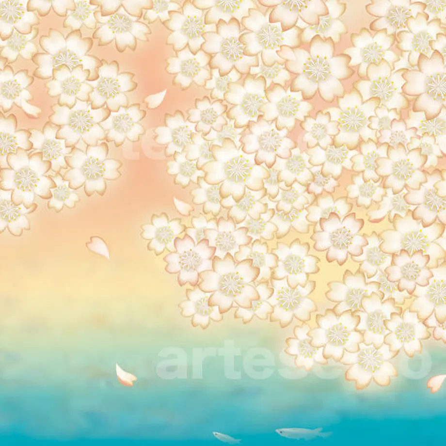 554d82ac2b34929006000401