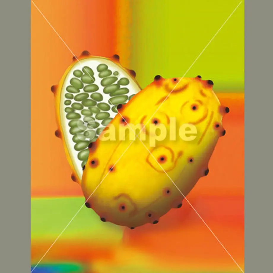 554ad67e3bcba9edeb000282