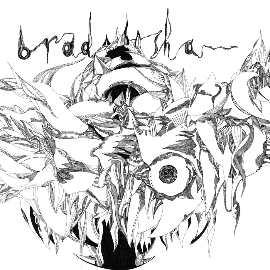 1st album “bradshaw”