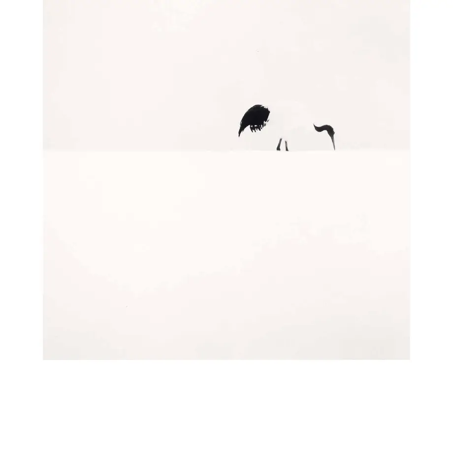 5f49e9b1afaa9d79cb9a9e41