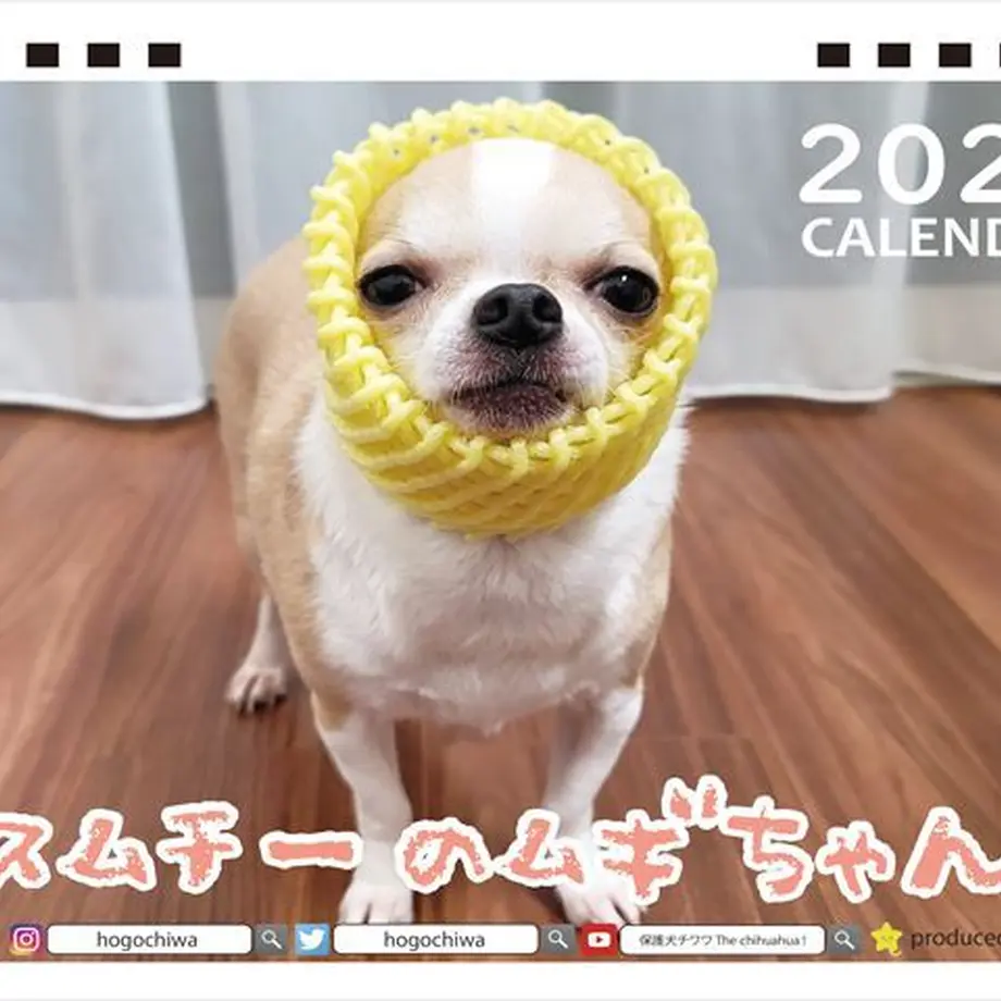 6334f37a1685c90001138f21