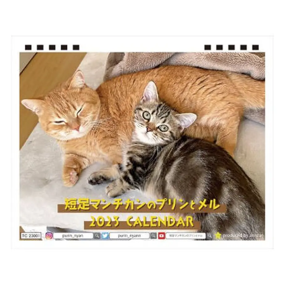 6338fb0b4aed1960e0fcd60e