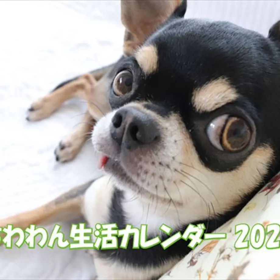 6334f3751685c90001138efc