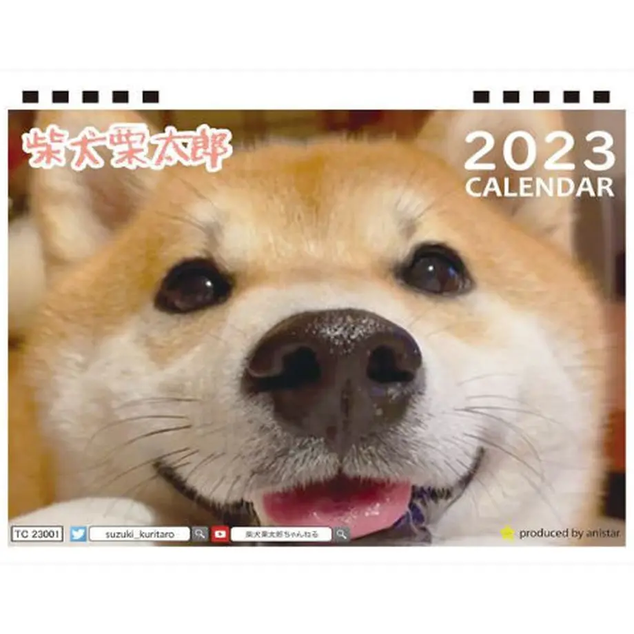 6334f3bd1685c90001139112
