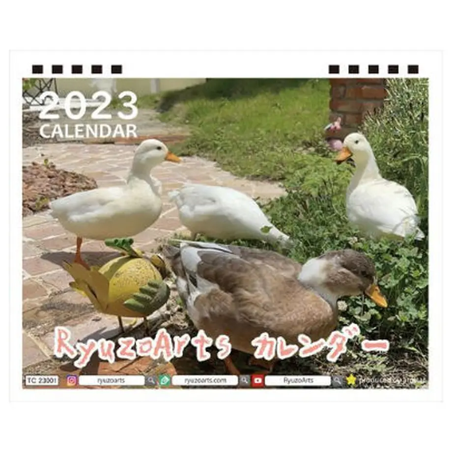 633d16402b412d000148a639