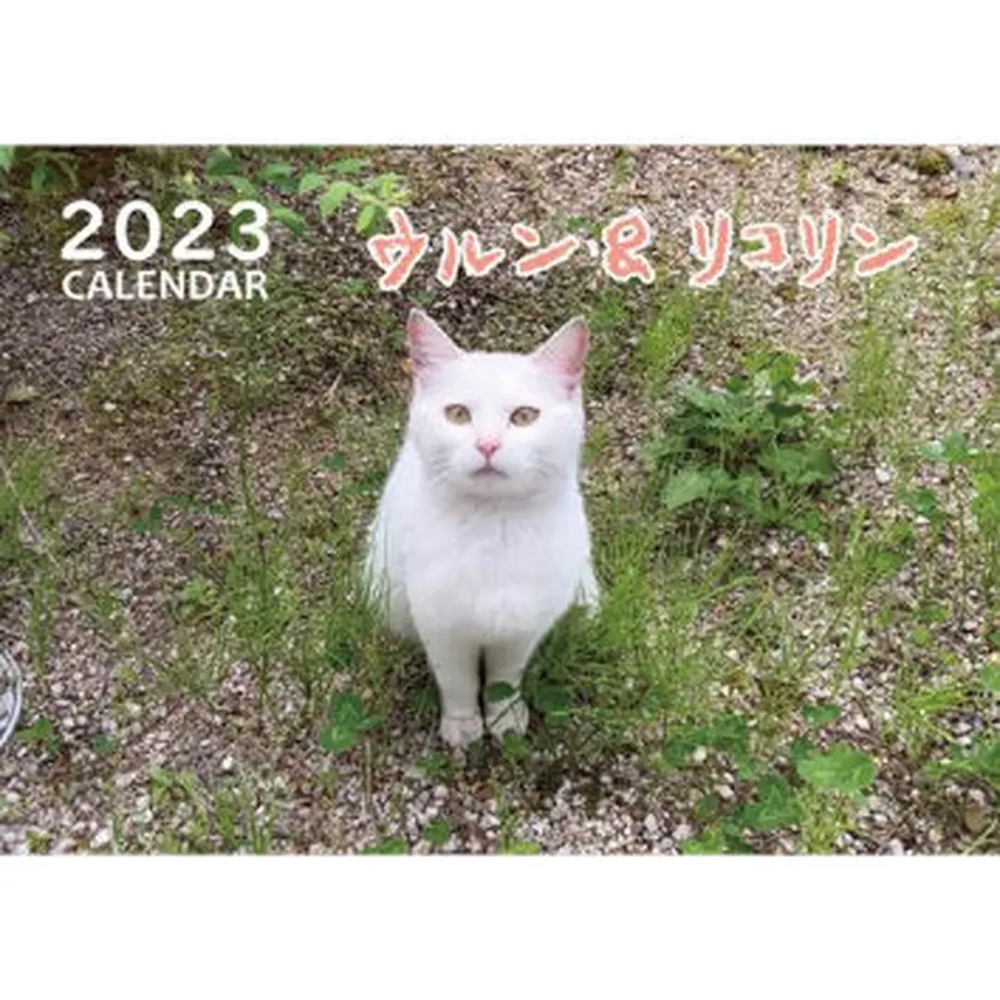 6347d79cf80f1e5e763a4ac1