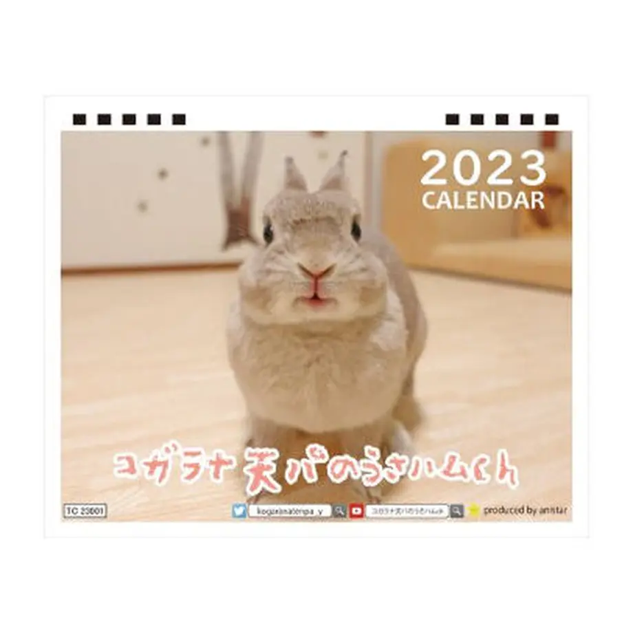 6369c74dabc35c60778dff06