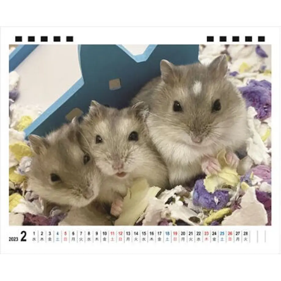 633826525f211800017b5c59
