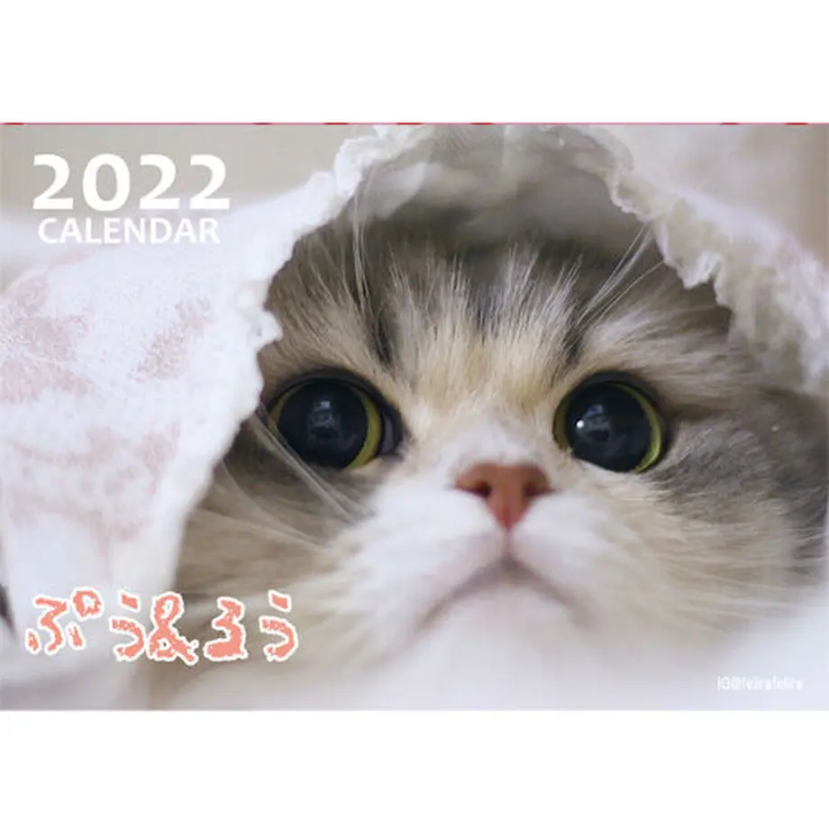 6160cf53603feb47243e8f32