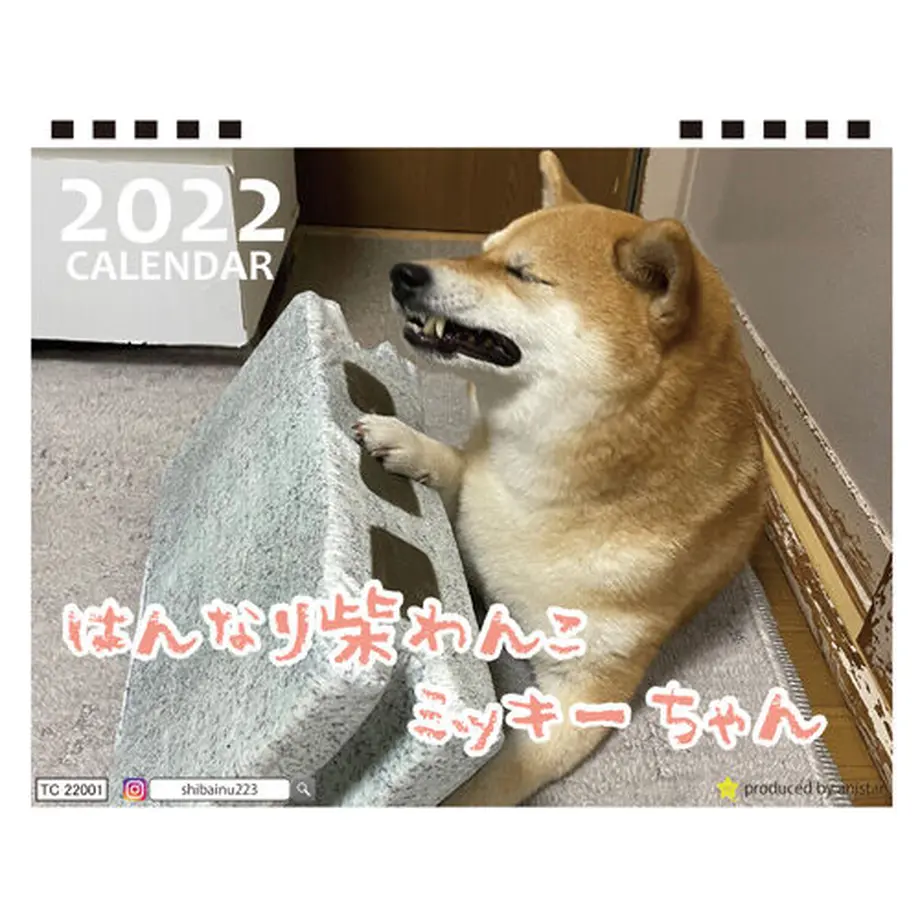 615d1a46e1fb4c58a4c3a7a8