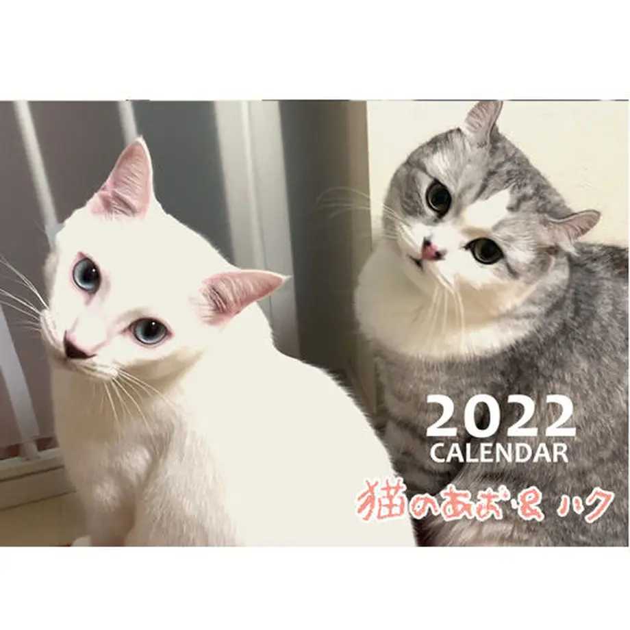 61693b6da92a784ae642058a