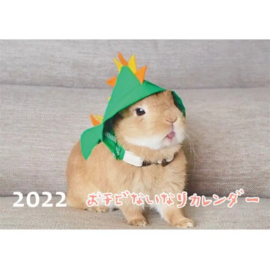 616aa3cb2ef7db25f4fc9524