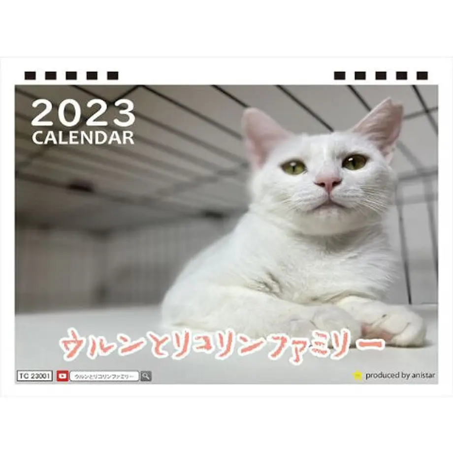 6334f3cc1685c9000113917e