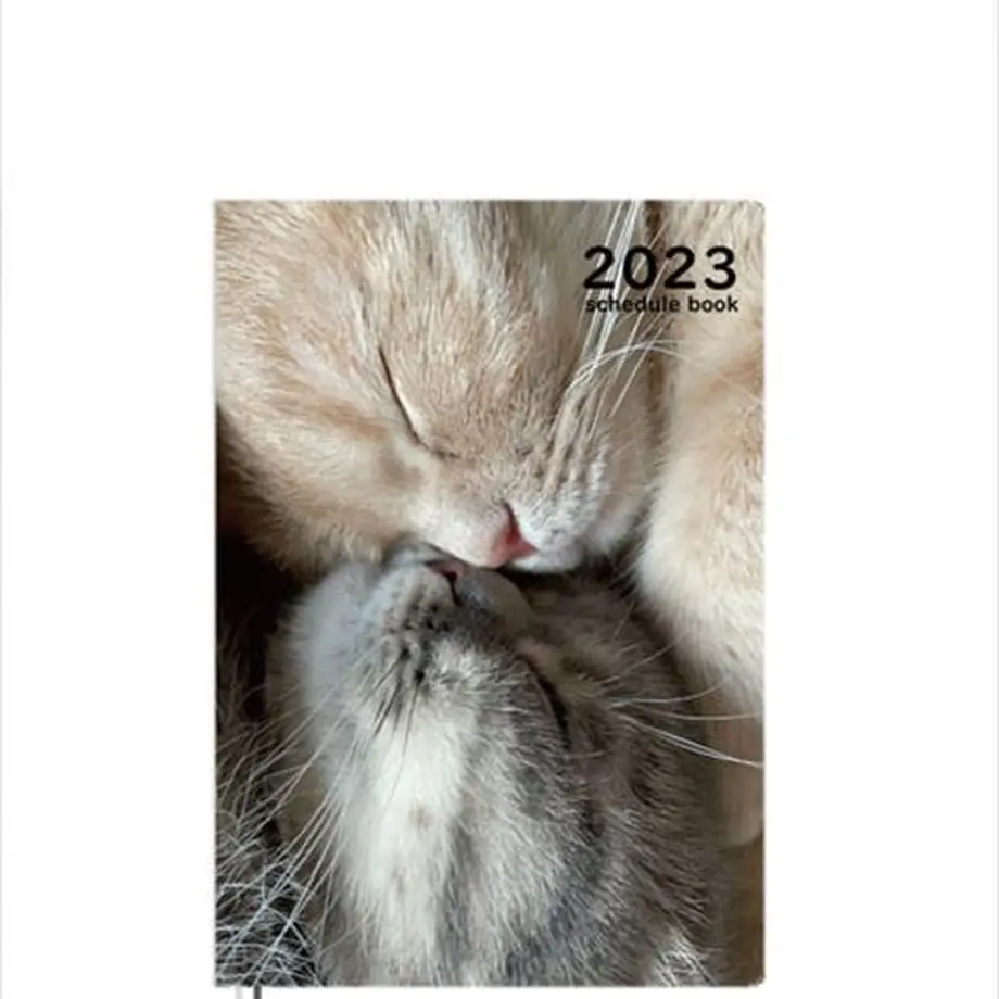 6338264f5f211800017b5c41