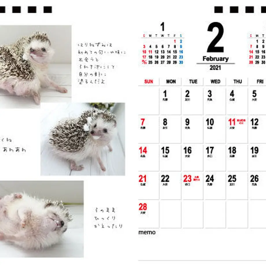 5f75245b8b4f202dd7045d20