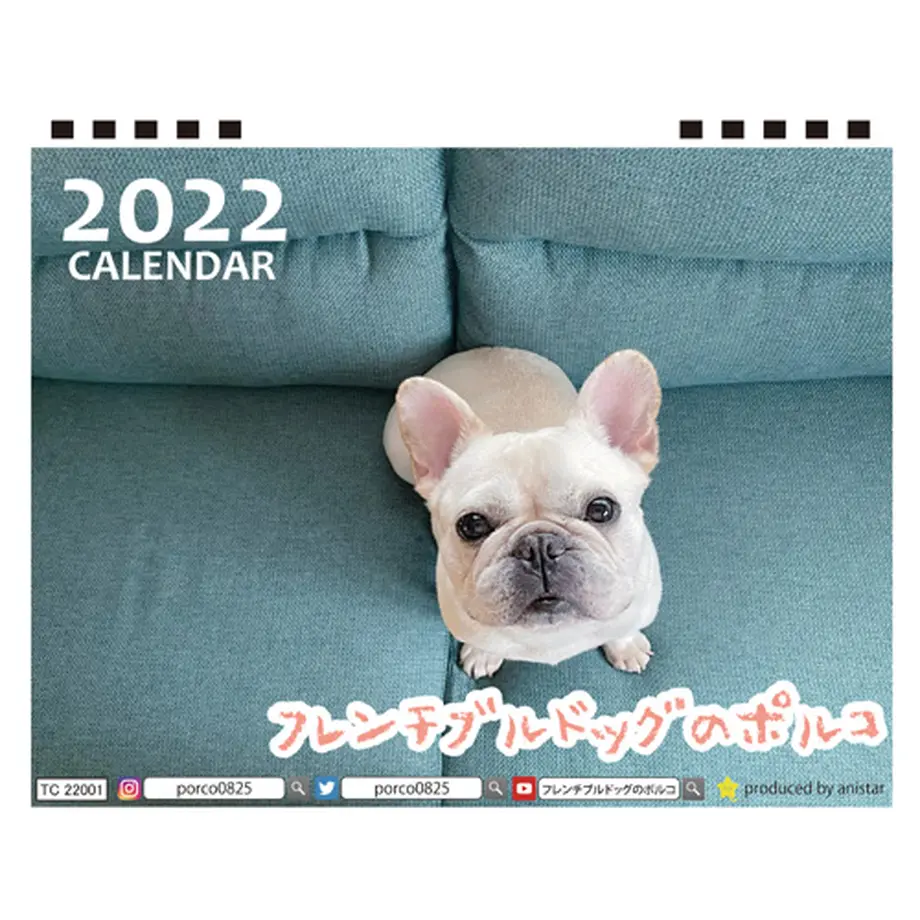 615a95df603feb3d39bd4645