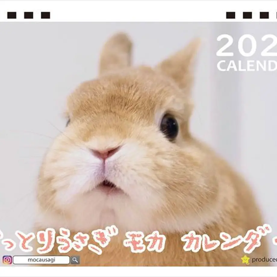 6334f3c11685c9000113912c