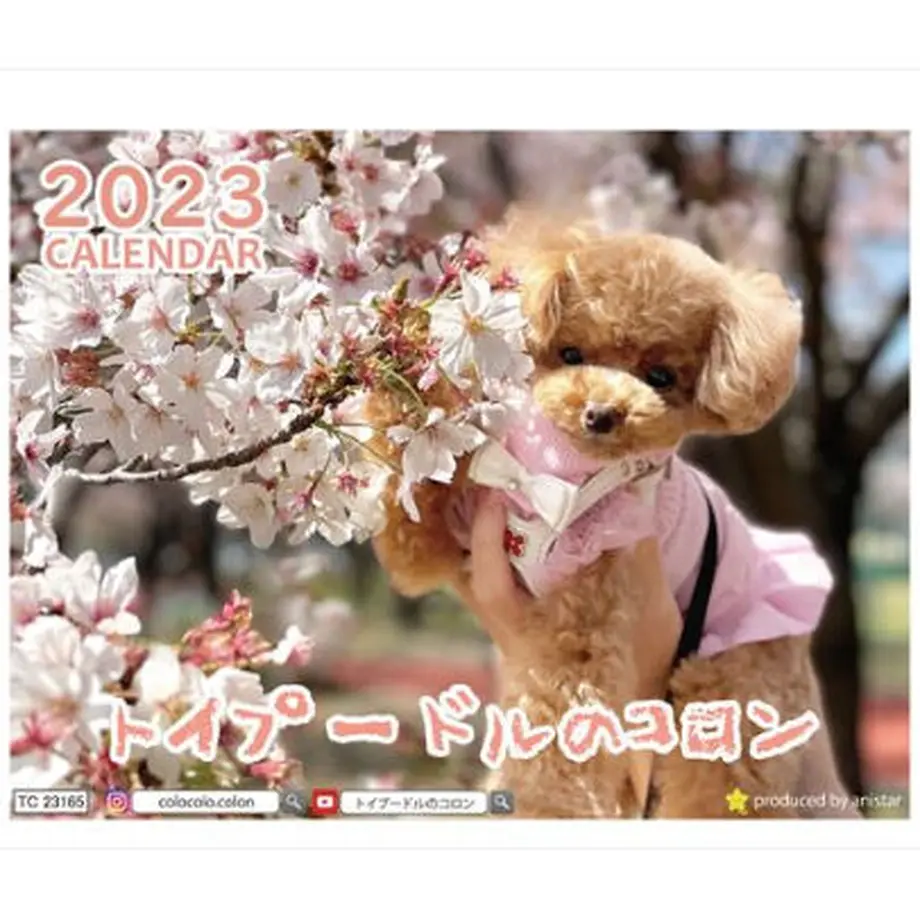 6334f37a1685c90001138f25
