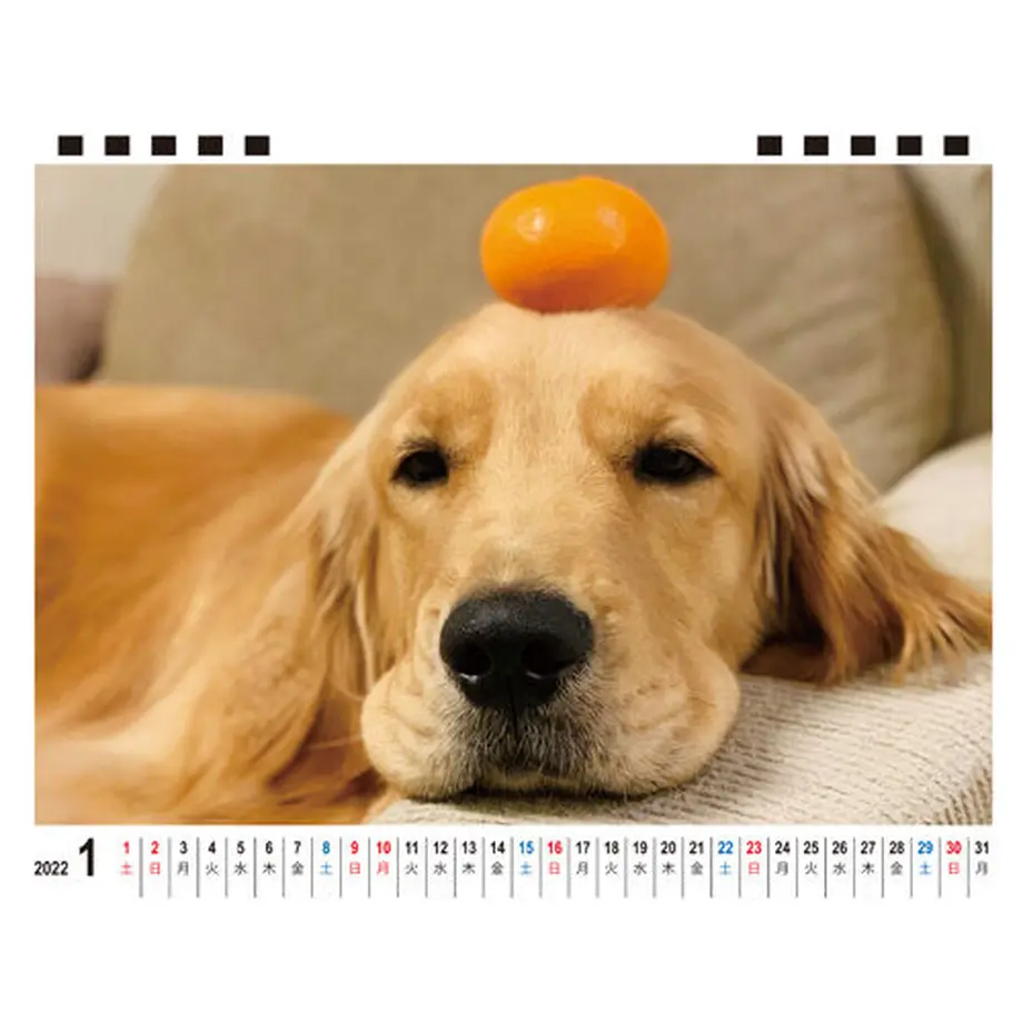 615d0c1a603feb55556e7621