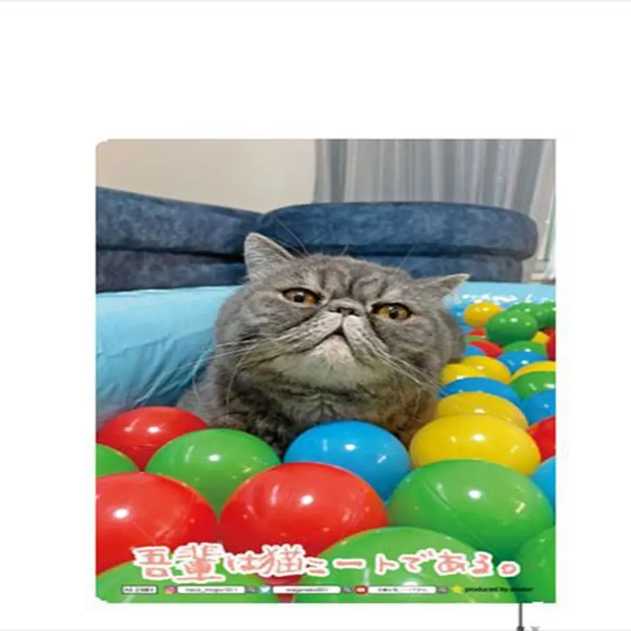 6334f38f1685c90001138fb2