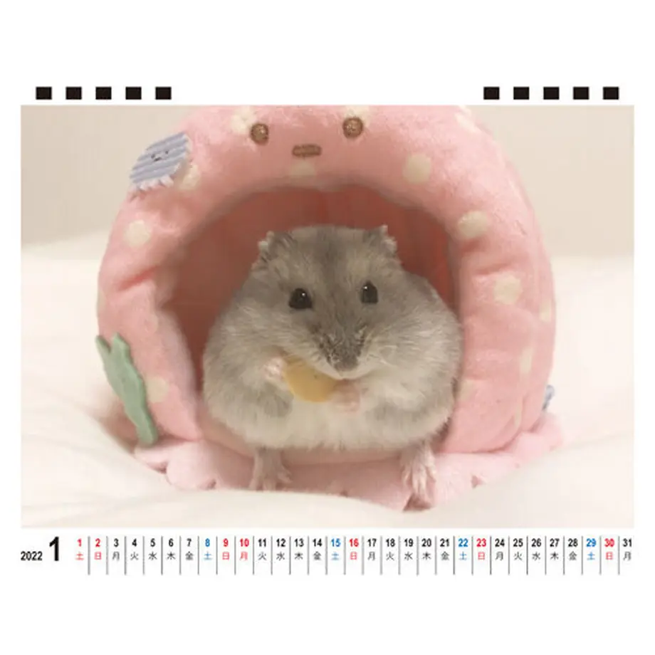 61578d9fc120960979f664fc