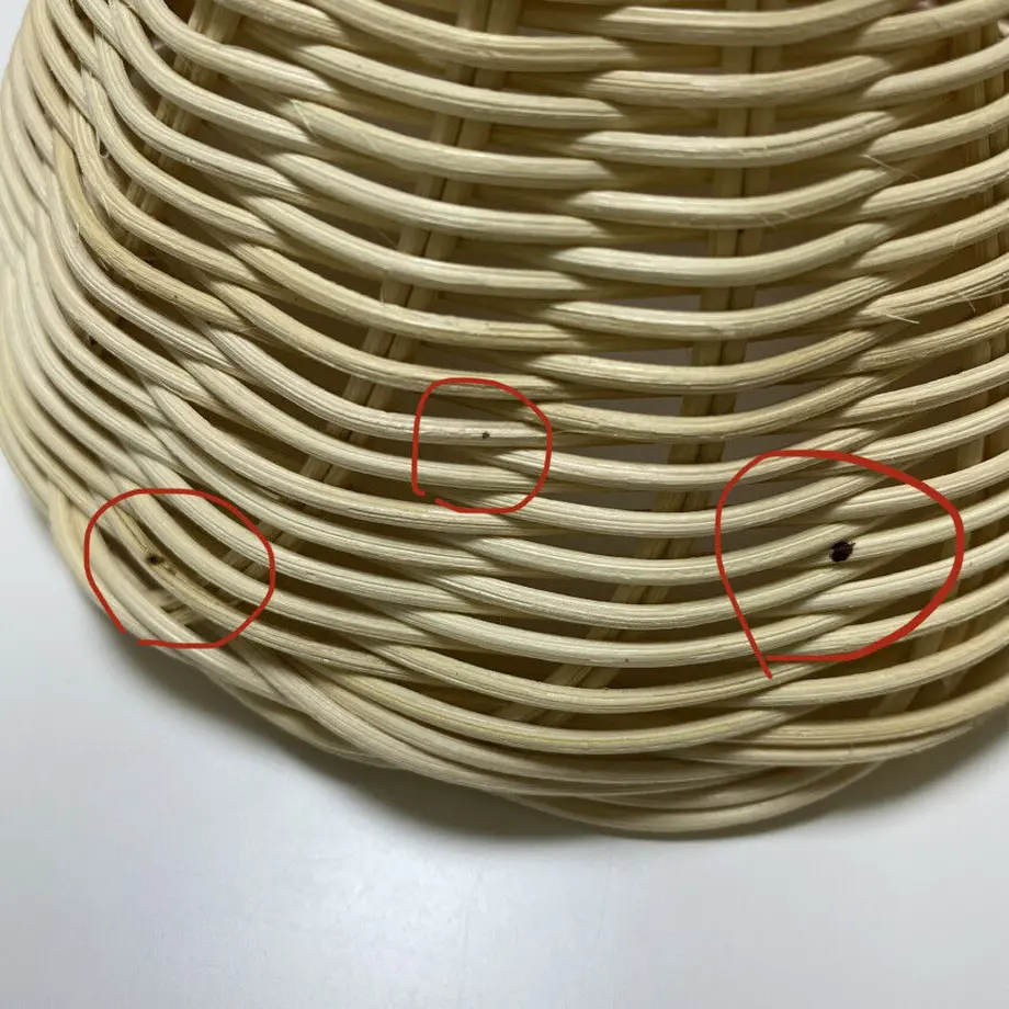 607ef92ee70dc443e8539ac4
