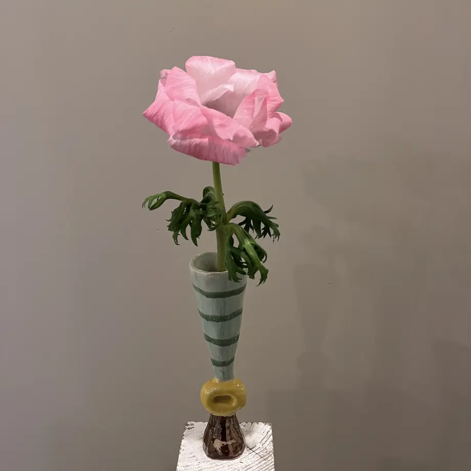 63c372f544054251940f4b8b