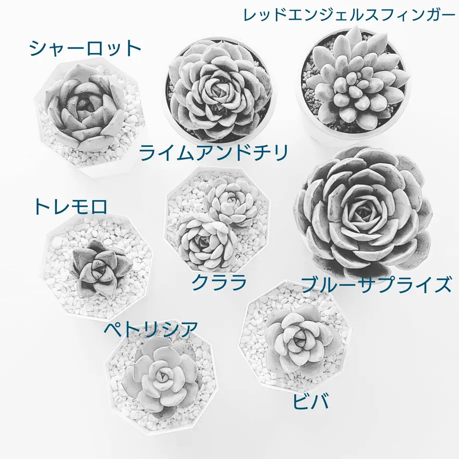 5ff804eddf515946320f1969