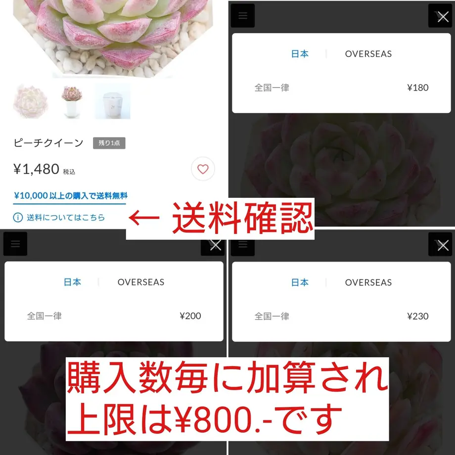 632678a9a3239429118edd19