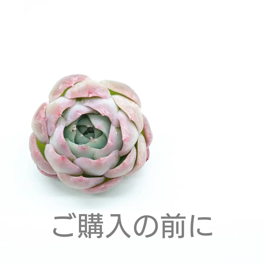 5eb3548334ef01488b044b18