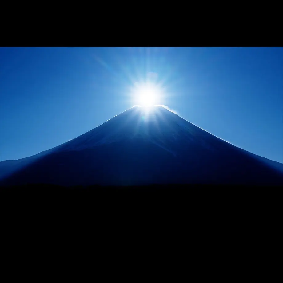 5be13f965496ff708400031d