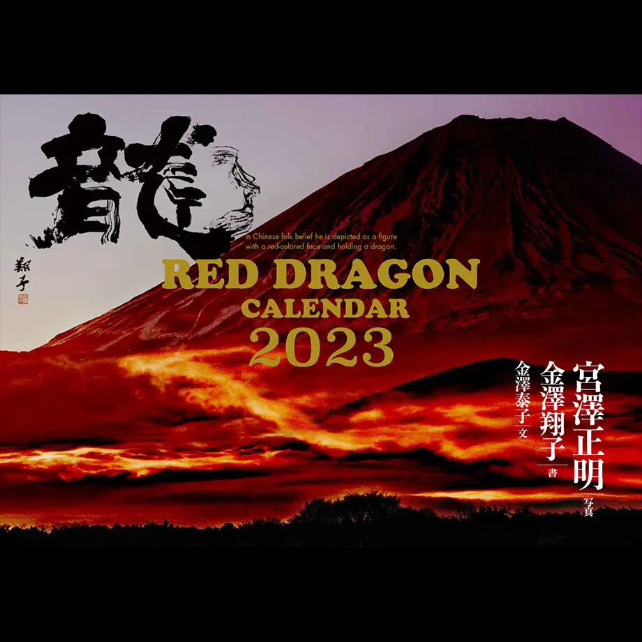 62b947adf405a15682b9c6b3