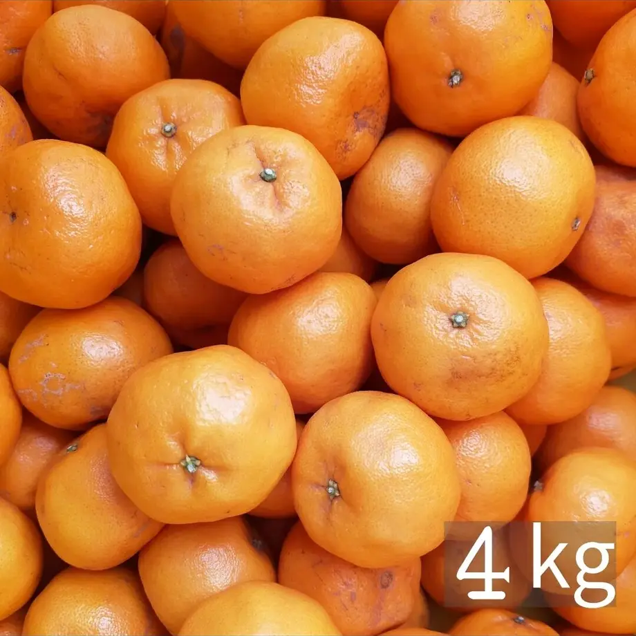 620f9d00bc44dc4fdf6d8424
