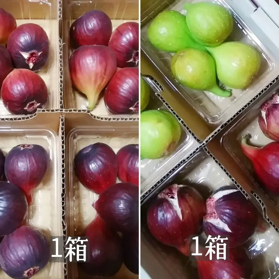 60fbcb3ebc1e645ce4501c80