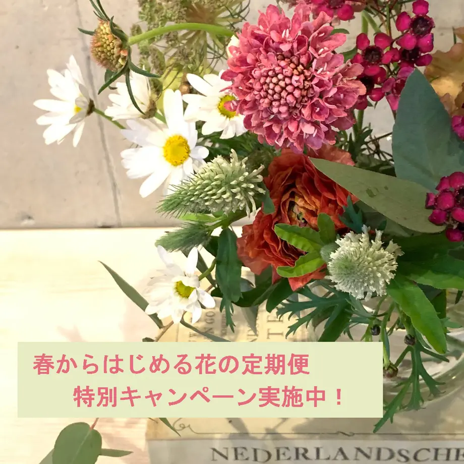 6064903ed5e9c9424d66cc2e