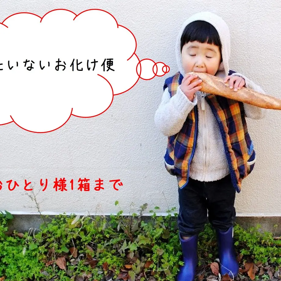 61b05cac9270a7014971903f
