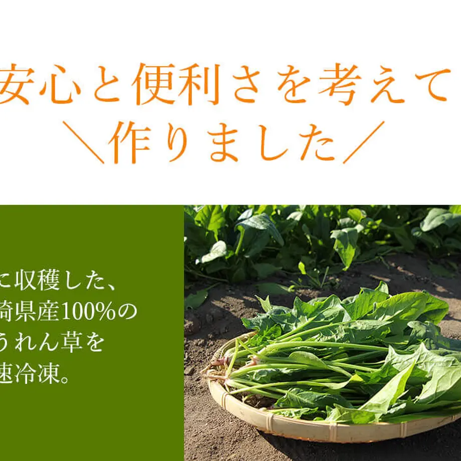 62663e68bc8f390d19d9c230