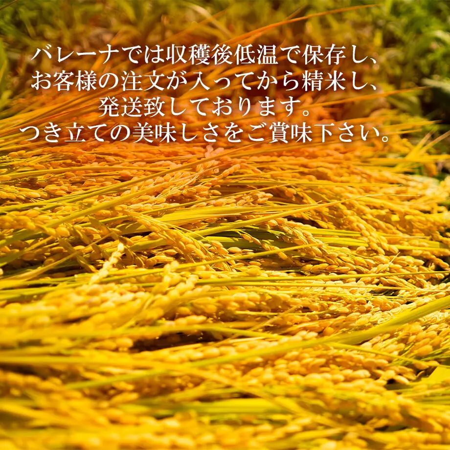5fcecc69f0b1081e476509b3