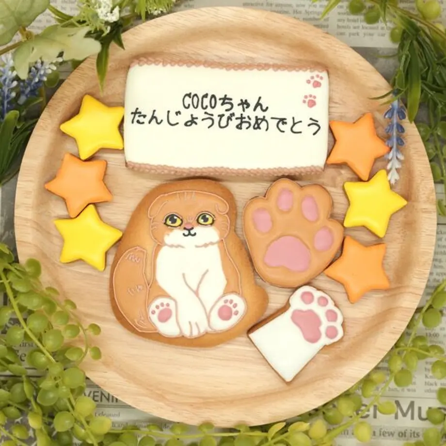 607e8dd1c9827a25f9fe681f
