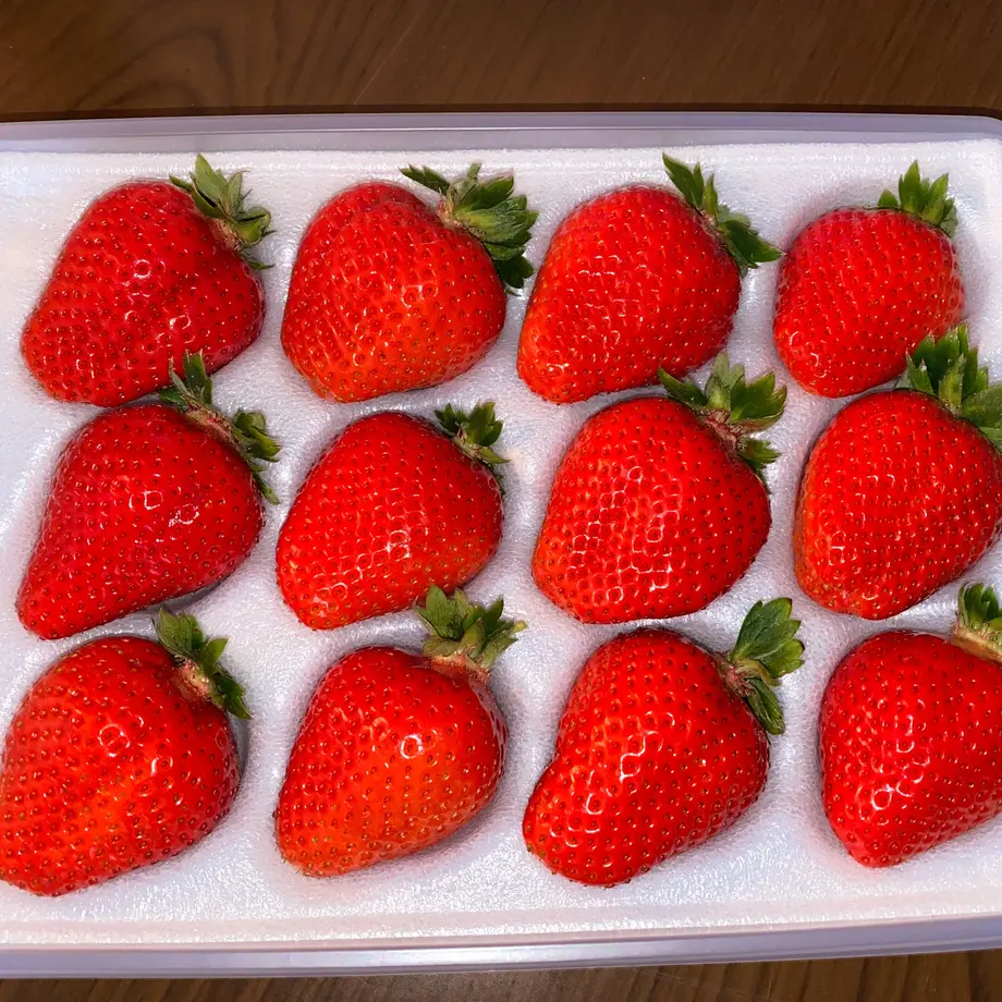61e80806423f6a0447e18e56